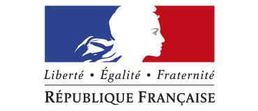 MINISTERE DES FINANCES ET DES COMPTES PUBLICS MINISTERE DEL’ECONOMIE, DE L’INDUSTRIE ET DU NUMERIQUE
